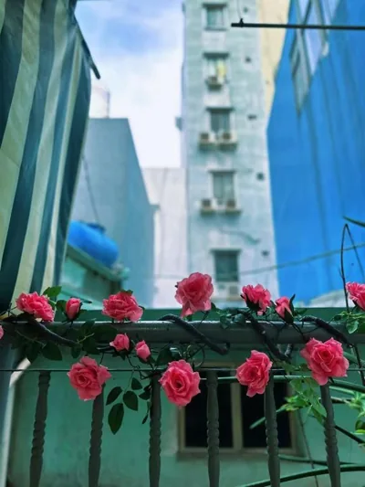 Ngõ Saigon Homestay - Bùi Viện – Fotos 7